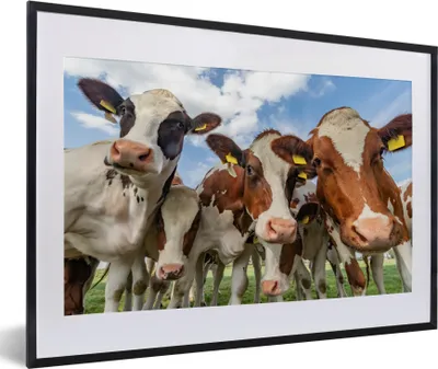 Produktbild von MuchoWow® Gerahmtes Poster Kühe - Tiere - Weide - Natur 60x40 cm - Poster mit Schwarzem Bilderrahmen Wandposter Rahmen Foto Bilder - Schlafzimmer - Plakat in Rahmen - Drucken