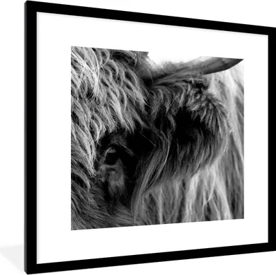Produktbild von MuchoWow® Gerahmtes Poster Scottish Highlander - Auge - Schwarz - Weiß 40x40 cm - Poster mit Schwarzem Bilderrahmen Wandposter Rahmen Foto Bilder - Poster - Plakat im Rahmen
