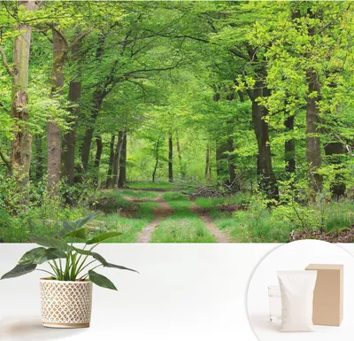 Produktbild von Fototapete selbstklebend - 152x104 cm - Tapete - Wandtapete - Wandbilder - Klebefolie - Dekofolie - Tapete Folie - Wand - Dekoration - Wohnzimmer - Waldweg