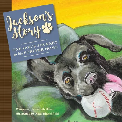 Produktbild von Jackson'S Story