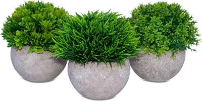 Image de Lot de 3 plantes artificielles d'intérieur - Plantes artificielles en petits pots - 15 x 12 cm - Décoration