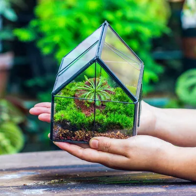 Produktbild von Geometrisches Glasterrarium mit Deckel - schwarz - 108 x 108 x 125 cm - für Sukkulenten und Luftpflanzen - handgefertigt - für Haus, Garten, Büro - Tischdekoration