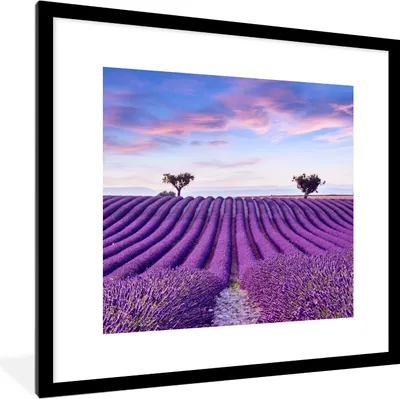 Produktbild von MuchoWow® Gerahmtes Poster Lavendel - Natur - Lila - Bäume - Blumen 40x40 cm - Poster mit Schwarzem Bilderrahmen Wandposter Rahmen Foto Bilder - Poster - Plakat im Rahmen