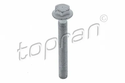 Obrázok produktu pre Skrutka TOPRAN 115 808 100 mm