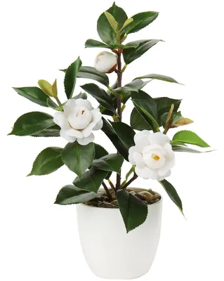 Produktbild von Künstliche Kamelie-Pflanze, 28 cm, künstliche Pflanze im Topf, Imitation Kamelie, handgefertigte künstliche Pflanze mit weißen Blüten, kleine Bonsai-Baum für Wohnzimmer, Schlafzimmer, Büro, Schreibtisch, Küchendekoration