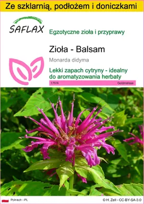 Zdjęcie produktu dla SAFLAX - Zestaw do uprawy - Zioła - Balsam - 20 Nasiona - Z mini szklarnią, podłożem uprawowym i 2 doniczkami - Monarda didyma