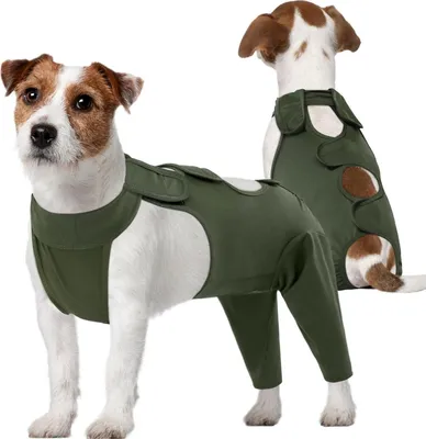 Image de Kuoser Combinaison de réhabilitation pour chiens pour la castration, protection après l'opération, alternative à la minerve, vert M
