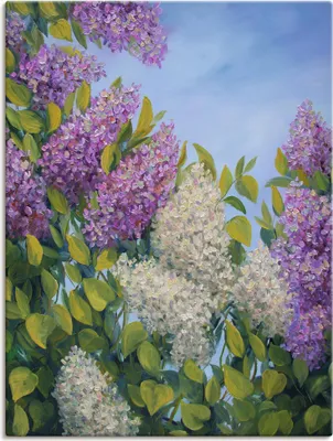 Produktbild von ARTland Leinwandbild Fliederbusch Größe: 60x80 cm