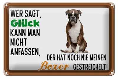 Produktbild von Blechschild Spruch 30x20cm Glück nicht anfassen Boxer Hund