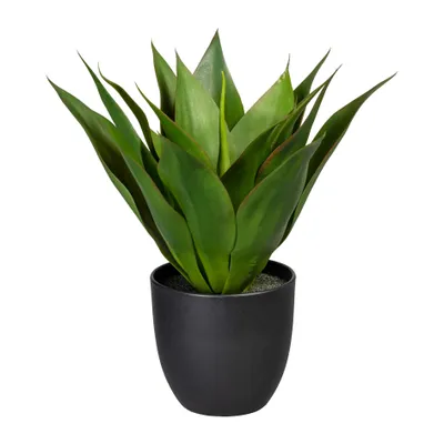 Produktbild von Kunstpflanze Agave Höhe: 36 cm grün