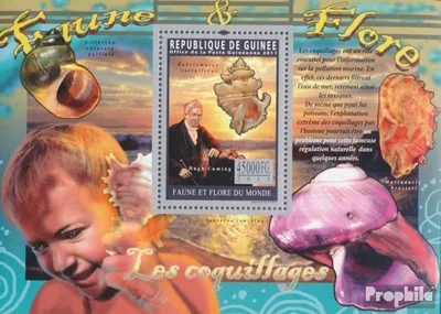 Produktbild von Briefmarken Guinea 2011 Mi Block 1939 (kompl. Ausgabe) postfrisch Muscheln