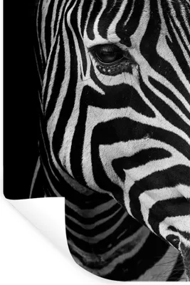 Produktbild von MuchoWow® Wandtattoo Wandsticker Wandaufkleber Tiere - Zebra - Schwarz - Weiß 80x120 cm Selbstklebend und Repositionierbar - Repositionierbar - Wasser abweisend