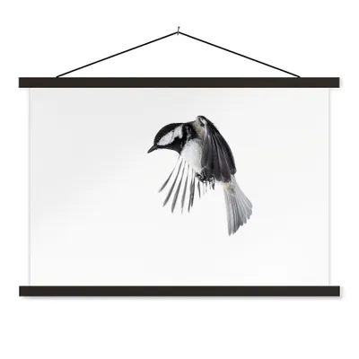 Produktbild von MuchoWow® Textilposter Vogel - Federn - Schwarz - Weiß 60x40 cm mit schwarzem Rahmen - Hölzernes