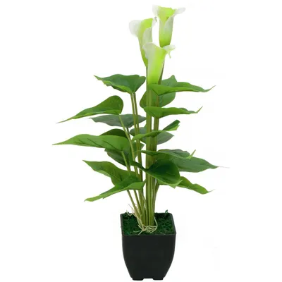Zdjęcie produktu dla EUROPALMS Calla mini, sztuczna roślina, biała, 43 cm (82540347)