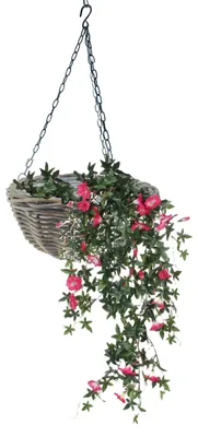 Produktbild von Hangekorb - D40 cm - Rattan geflochten - Hangepflanze - an Kette - Hangekorb