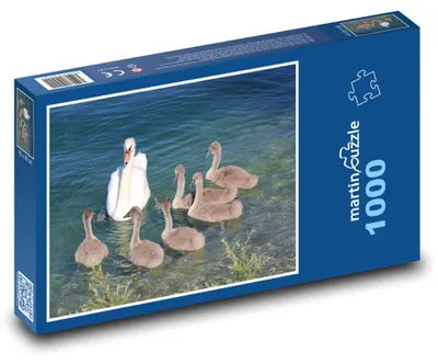 Obrázok produktu pre Puzzle 1000 Labuť s mláďatami - martinpuzzle