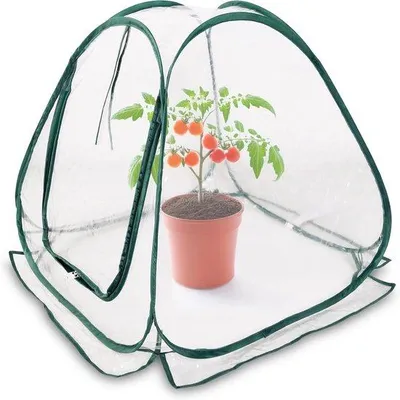 Produktbild von Mini-Gewächshaus – Kleines Anzuchthaus – Pflanzen anbauen – ohne Aufbau – 60 x 60 cm – Transparent