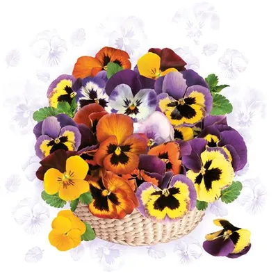Produktbild von Servietten 33x33 cm - Colourful Pansies