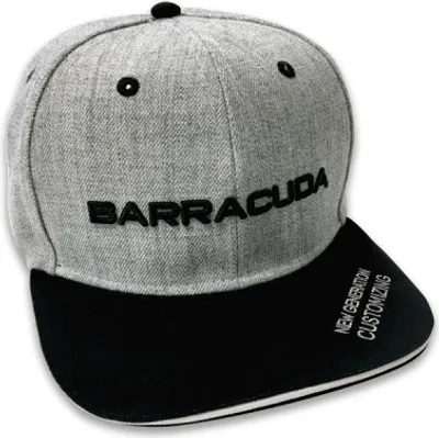 Produktbild von Barracuda Snapback Cap