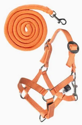 Zdjęcie produktu dla Zestaw halterów Hobby Horse Basic Colour - Pomarańczowy