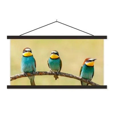 Produktbild von MuchoWow® Textilposter Vögel - Tiere - Bienenfresser 60x30 cm mit schwarzem Rahmen - Textilien