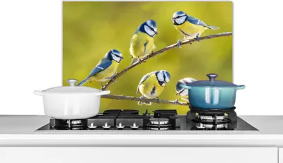 Produktbild von KitchenYeah®  Spritzschutz Küche - Küchenrückwand - Wandschutz für Herd und Spüle - Vogel - Blaumeise - Äste - Sonne 60x40 - Alu-Dibond (Alternative zum Spritzschutz aus Glas) - Hitzebeständig - Herds
