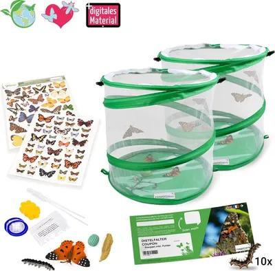 Produktbild von TimeTEX Gutschein-Set "Schmetterlinge", groß, 12-tlg.