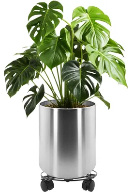 Productafbeelding van Ronde roestvrijstalen plantenbak met trolley en vingerafdrukbescherming, 30 cm