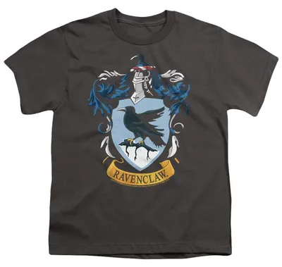 Produktbild von Harry Potter - T-Shirt für Kinder TV36380 (140-146) (Holzkohle)