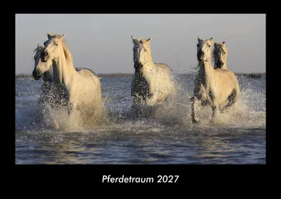 Produktbild von Pferdetraum 2027 Fotokalender DIN A3