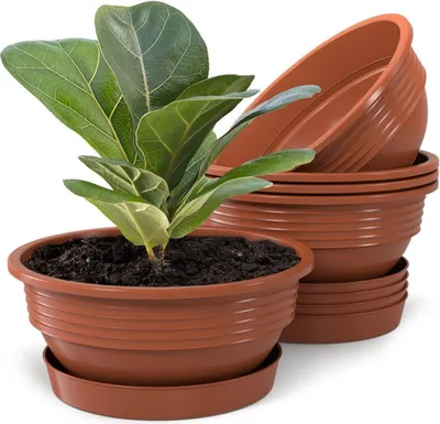 Produktbild von Plastard Blumenschale 5er Set Terrakotta Ø 25 cm mit Untersetzer - Pflanzschale