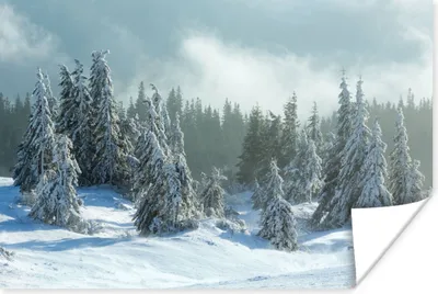 Produktbild von MuchoWow® Poster Wald - Schnee - Winter 120x80 cm - Bilder