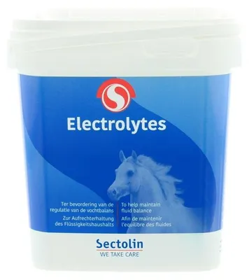 Productafbeelding van Sectolin Electrolyten equivital 1KG