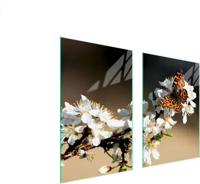 Image de Plaque De Protection Des Vitres Pour La Cuisine 65X52 Plaume