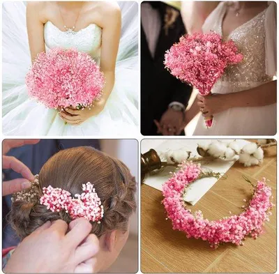 Image de Fleurs de gypsophile séchées, couleur rose, pour des projets de bricolage et à des fins décoratives