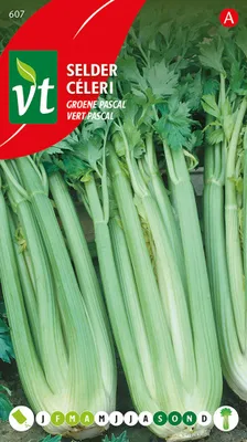 Image de Graines de céleri Green Pascal - Env. 2 gr | VT_607