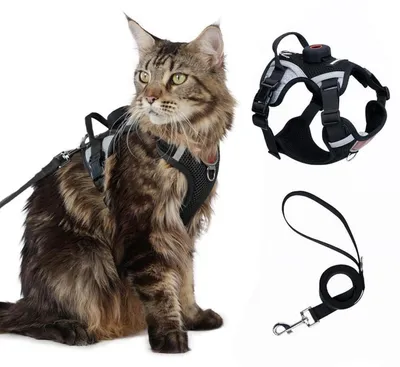 Produktbild von Katzengeschirr und Leine Set XL Z Black mit Tracker-Halter, ausbruchsicher, verstellbar, Netz, reflektierend