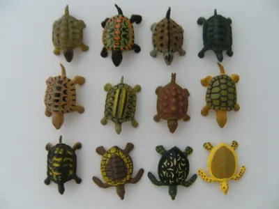 Produktbild von Spieltiere Schildkröten 12erSet; 4 cm; Schildkröte Turtle Tiere Spielzeug Tierfiguren