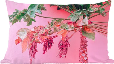 Produktbild von MuchoWow® Zierkissen Sofakissen Wohnzimmer Dekokissen 60x40 cm Palme - Tropisch - Rosa - Sommer - Kopfkissen - Polster mit Foto