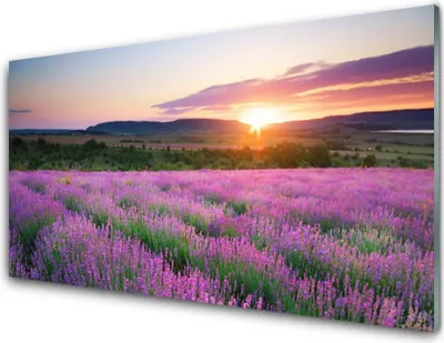 Produktbild von Acrylglasbilder 100x50 Wandbild Druck Sonne Wiese Blumen Natur