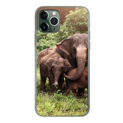 Produktbild von MuchoWow® Handyhülle Schutzhülle Hülle für iPhone 11 Pro Elefant - Tiere - Wald - Gras - Grün Silikon Softcase Handy Hülle - Handy