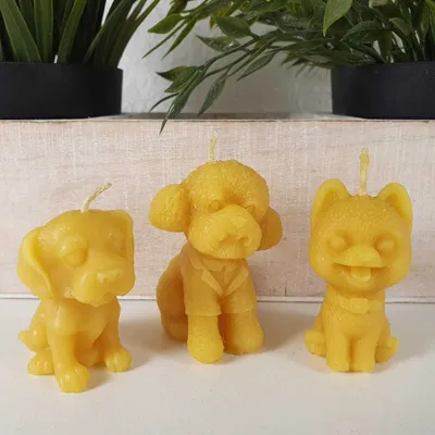 Produktbild von Bienenwachskerze verspielte Hunde Kerze 3er Set 5 cm