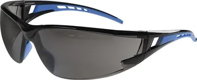 Image de Lunettes de protection Falcon 2 EN 166 branches bleues, écran teinté PC