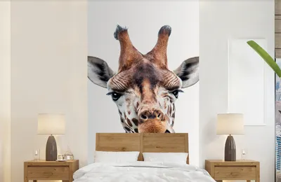 Produktbild von Jungenzimmer-Wandtattoo - Giraffen-Foto-Wandtattoo - Kopfportrait - Tier - Jungen - Breite 120 cm x Höhe 240 cm - Wandtattoo für Kinder