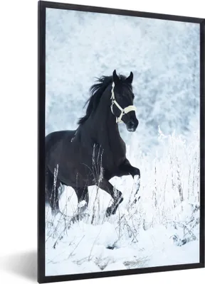 Produktbild von MuchoWow® MuchoWow® Gerahmtes Poster Pferd - Schnee - Winter 60x90 cm - Poster mit zchwarzem Bilderrahmen - Kunst