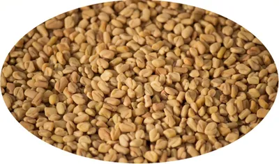 Produktbild von Bockshornklee ganz - 1kg