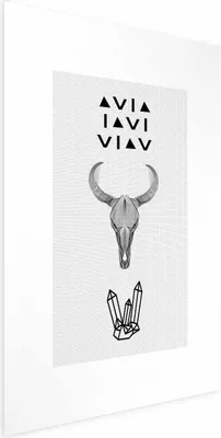 Produktbild von Posterpapier Poster - Animal Skull 29.7x42 cm Text n-C-0201-ao-a