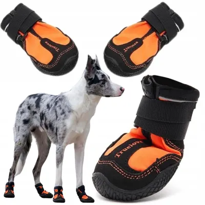 Produktbild von Truelove Hundeschuhe Long Distance Trekking Orange