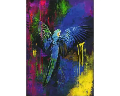 Produktbild von Leinwandbild Original Colourful Parrot 70x100 cm