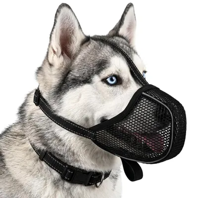 Immagine prodotto di Museruola per cani, in rete, traspirante, morbida, regolabile, taglia L